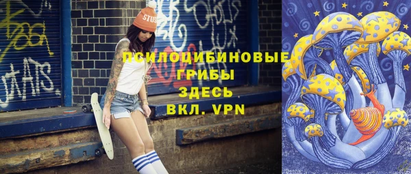 винт Карпинск