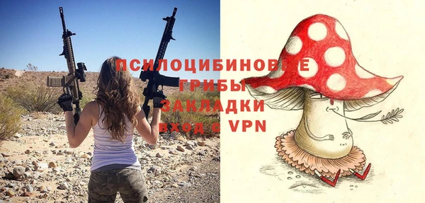 винт Карпинск